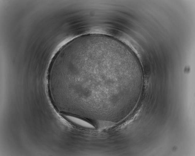X0000098001133200804071211