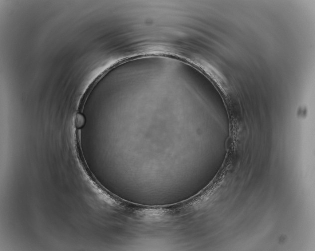 X0000098001134200804071211