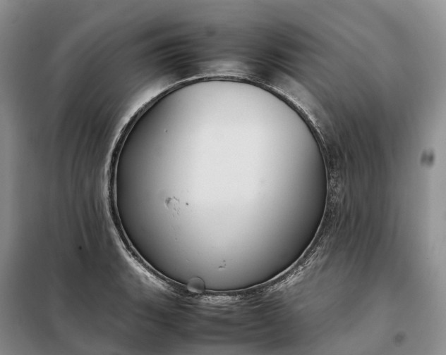 X0000098001135200804071211