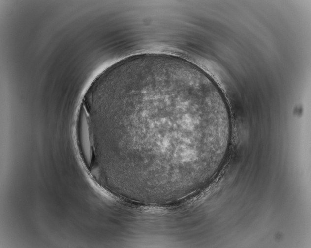X0000098001136200804071211