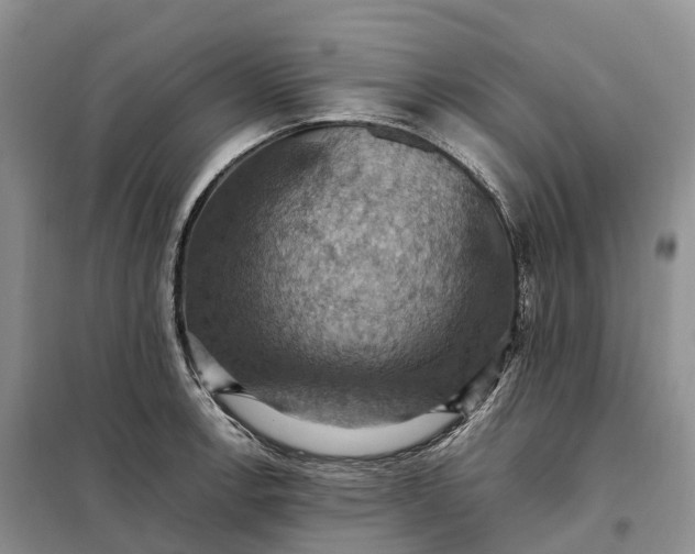 X0000098001138200804071211