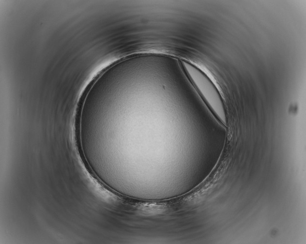 X0000098001139200804071211