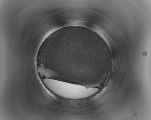 X0000098001141200804071211