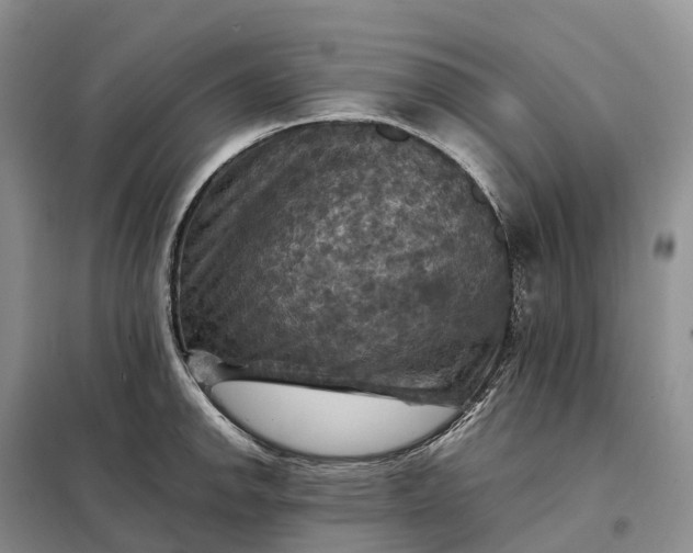 X0000098001142200804071211