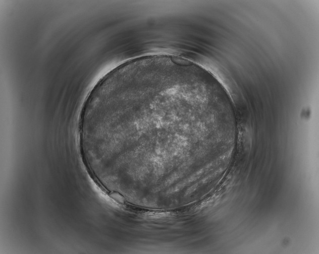 X0000098001143200804071211
