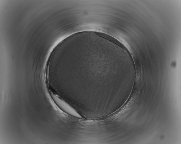X0000098001144200804071211