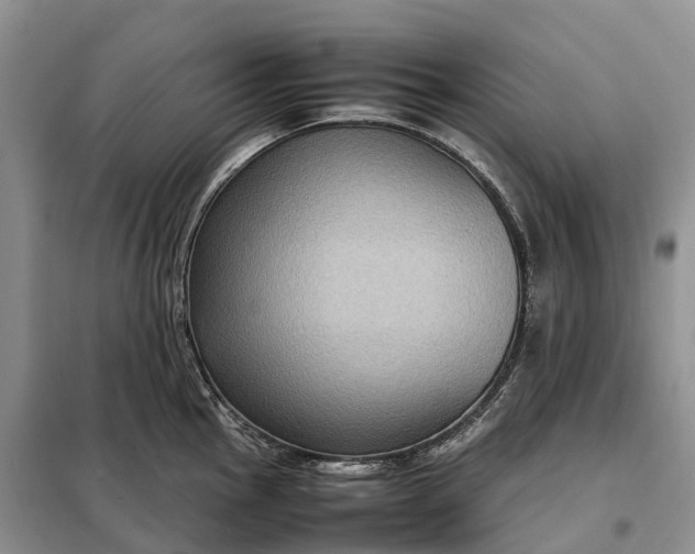 X0000098001145200804071211