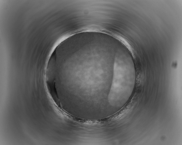 X0000098001146200804071211