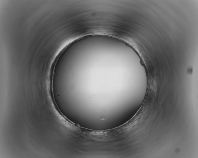 X0000098001147200804071211