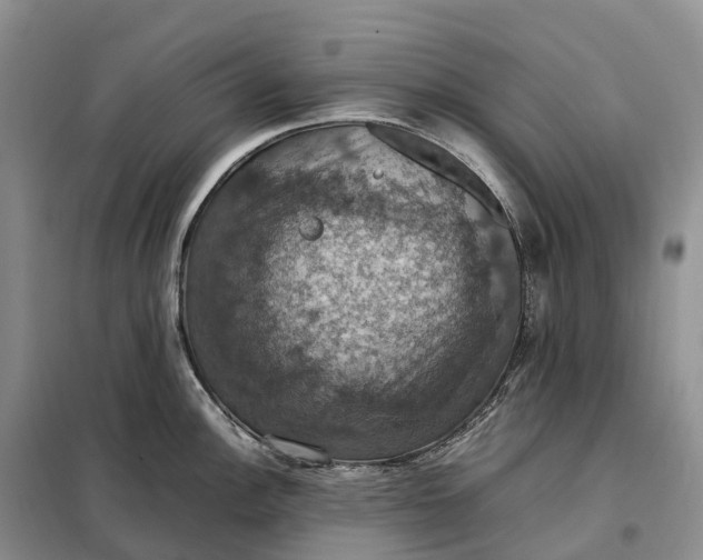 X0000098001148200804071211