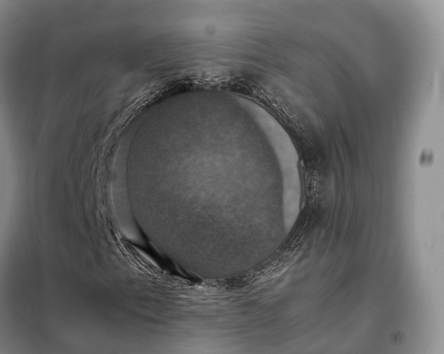 X0000098001153200804071211