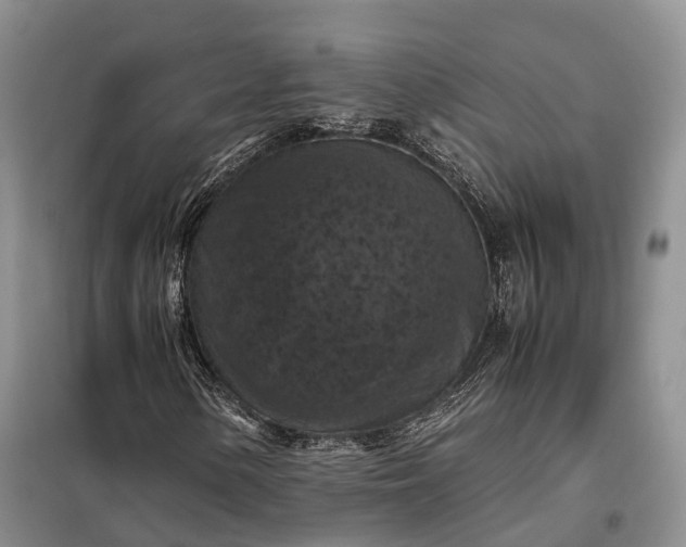 X0000098001154200804071211