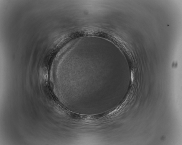 X0000098001155200804071211