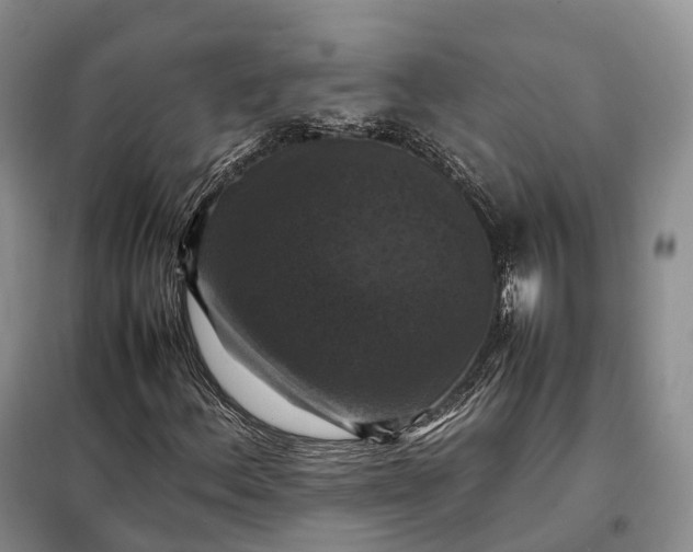 X0000098001156200804071211