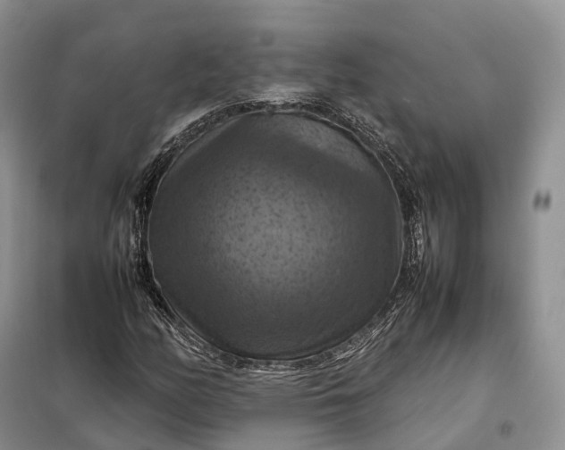 X0000098001158200804071210