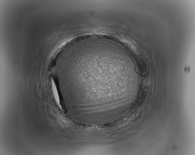 X0000098001159200804071210