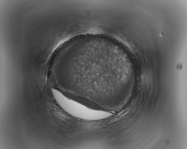 X0000098001160200804071210
