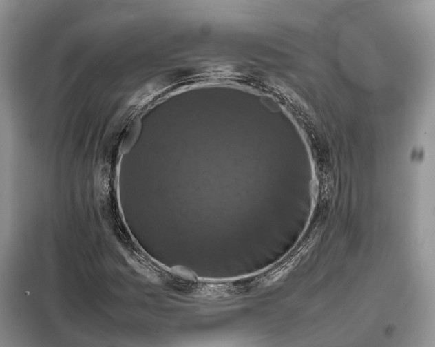 X0000098001161200804071210