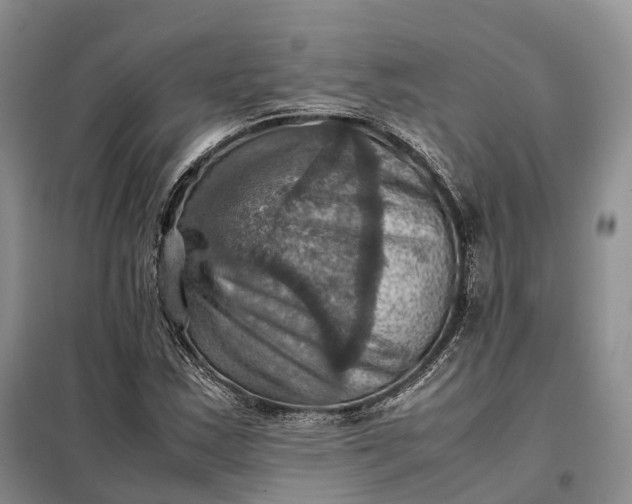 X0000098001163200804071210