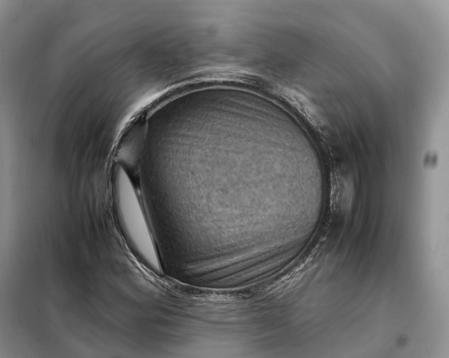X0000098001164200804071210