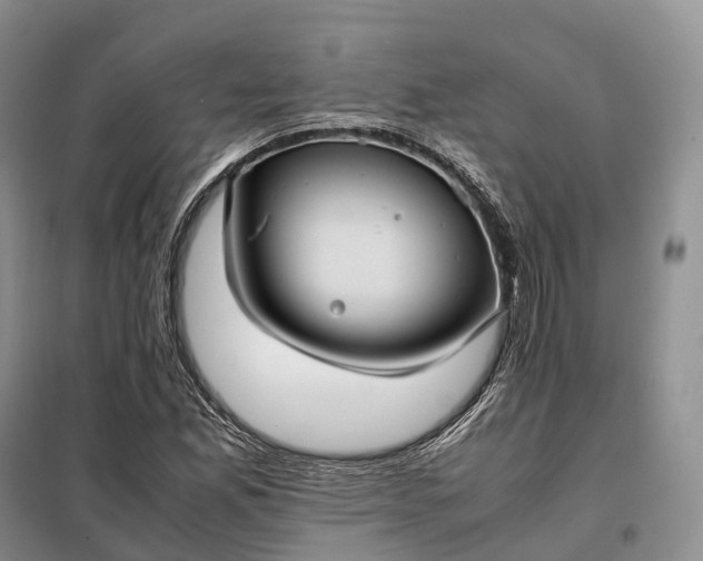 X0000098001165200804071210