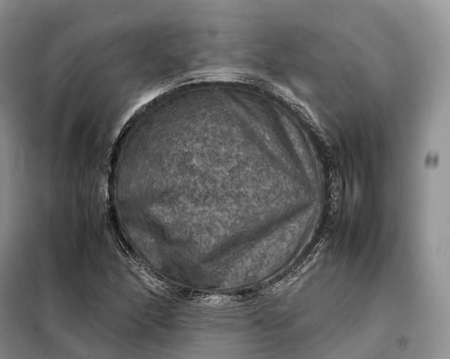 X0000098001166200804071210
