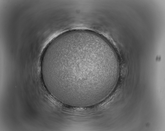 X0000098001167200804071210