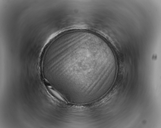 X0000098001168200804071210