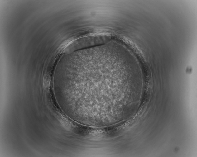 X0000098001169200804071210