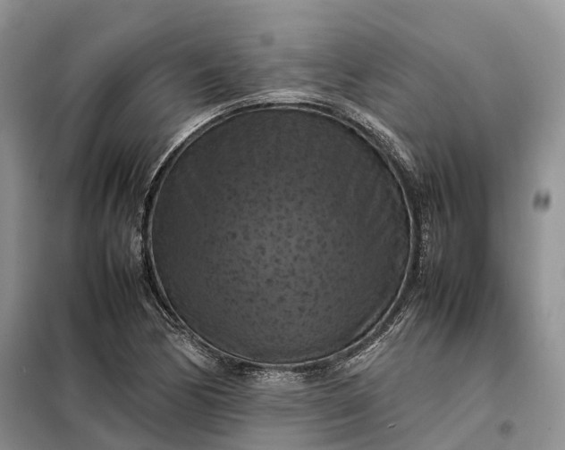 X0000098001170200804071210