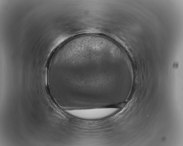 X0000098001171200804071210
