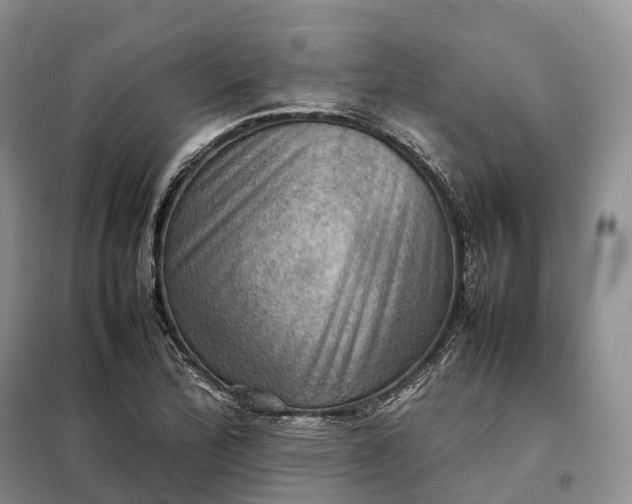 X0000098001172200804071210