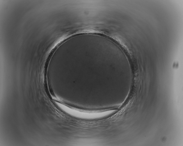 X0000098001173200804071210