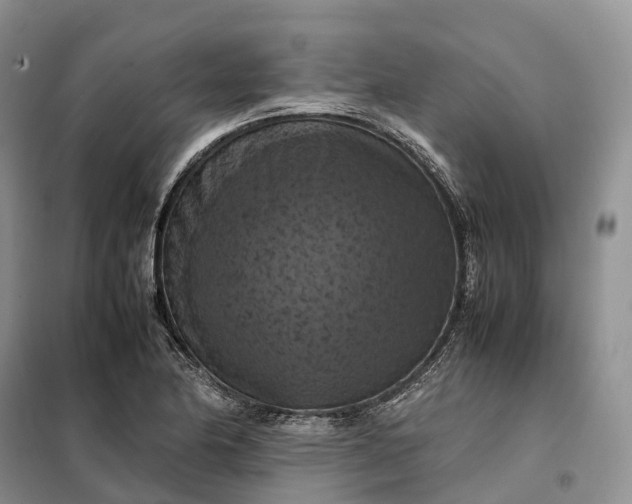 X0000098001174200804071210