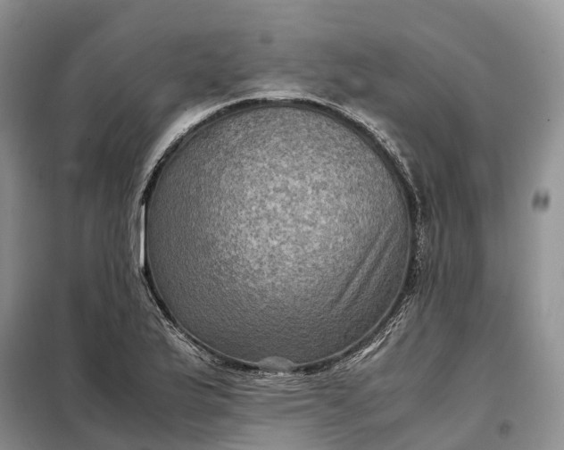 X0000098001175200804071210