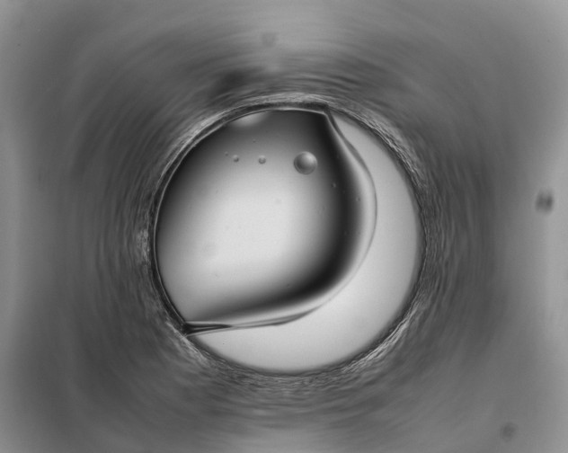 X0000098001177200804071210