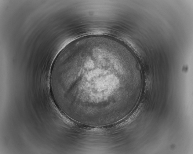 X0000098001178200804071210