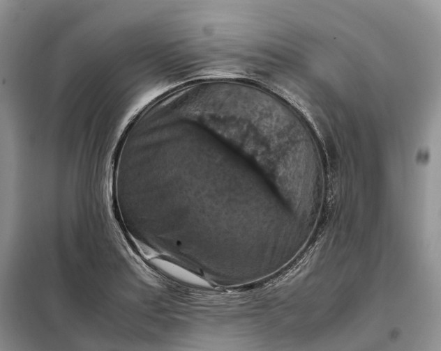 X0000098001179200804071210