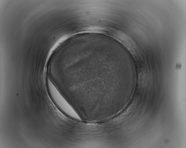 X0000098001180200804071210