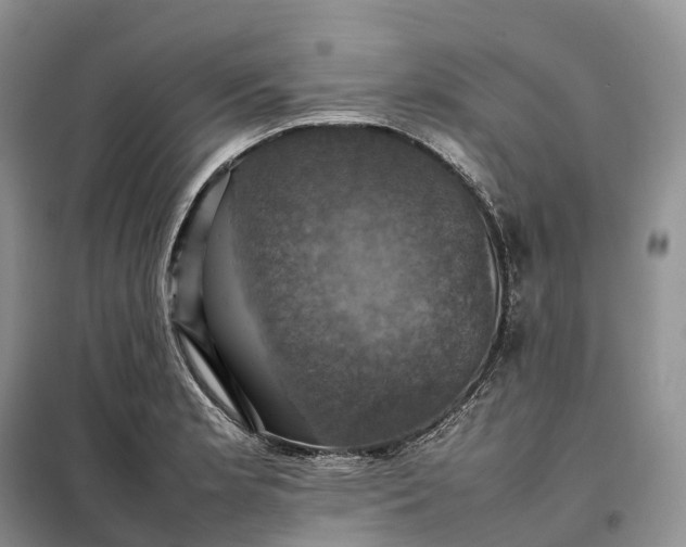 X0000098001181200804071210