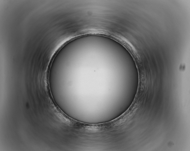 X0000098001182200804071210
