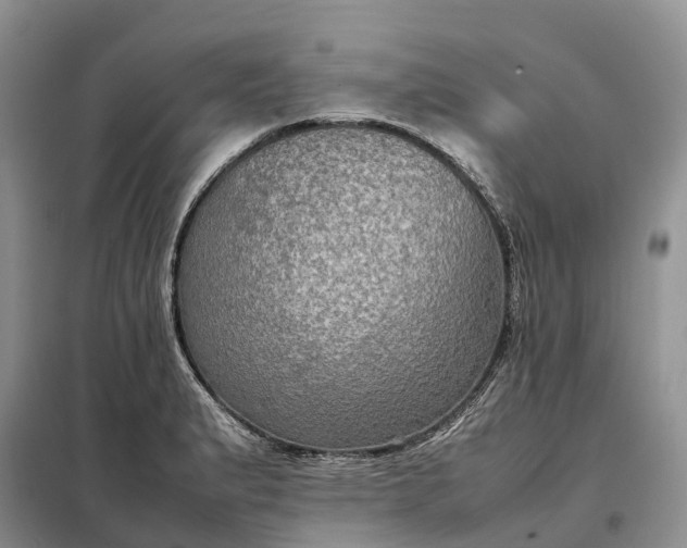X0000098001183200804071210