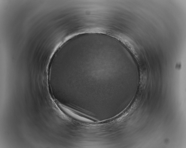 X0000098001184200804071210