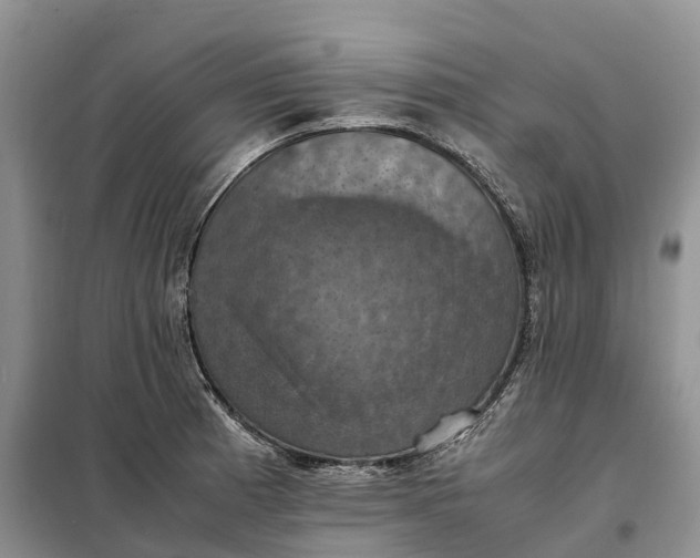X0000098001185200804071210