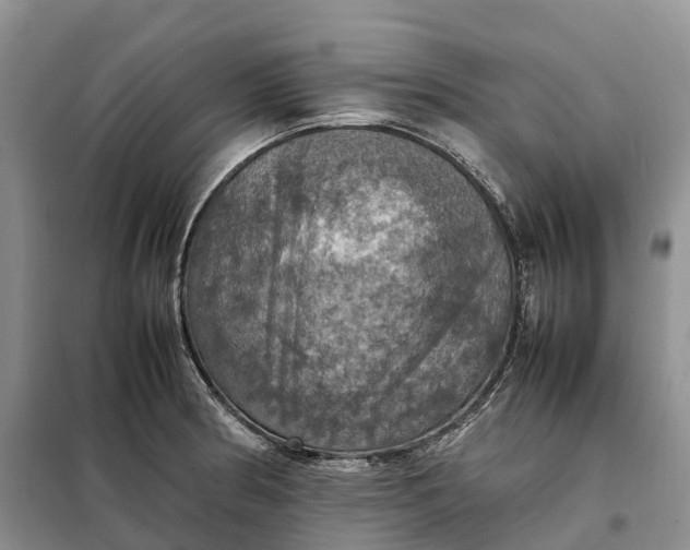 X0000098001186200804071210