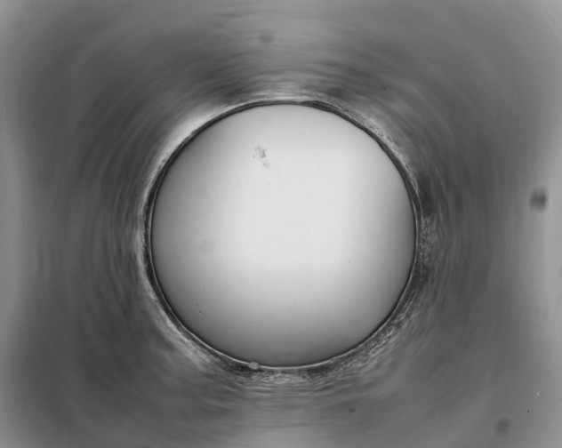 X0000098001187200804071210