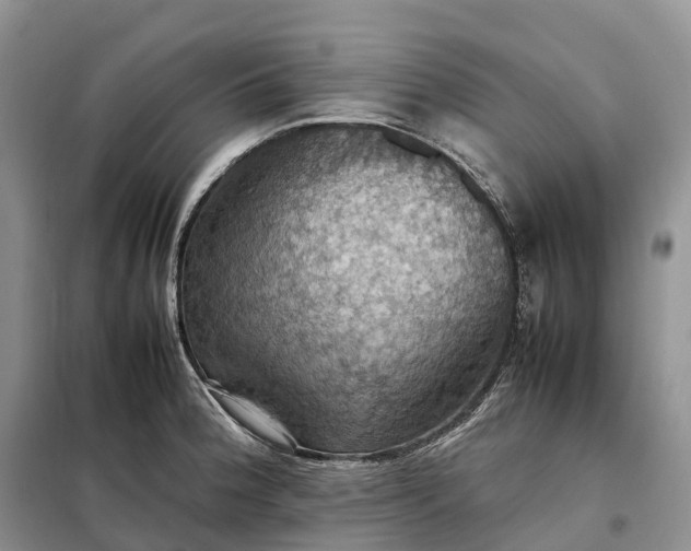 X0000098001188200804071210
