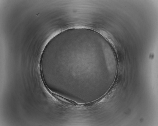 X0000098001189200804071210