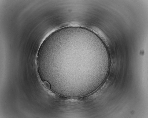 X0000098001190200804071210