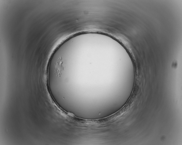 X0000098001191200804071210